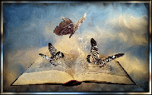 livre et papillons